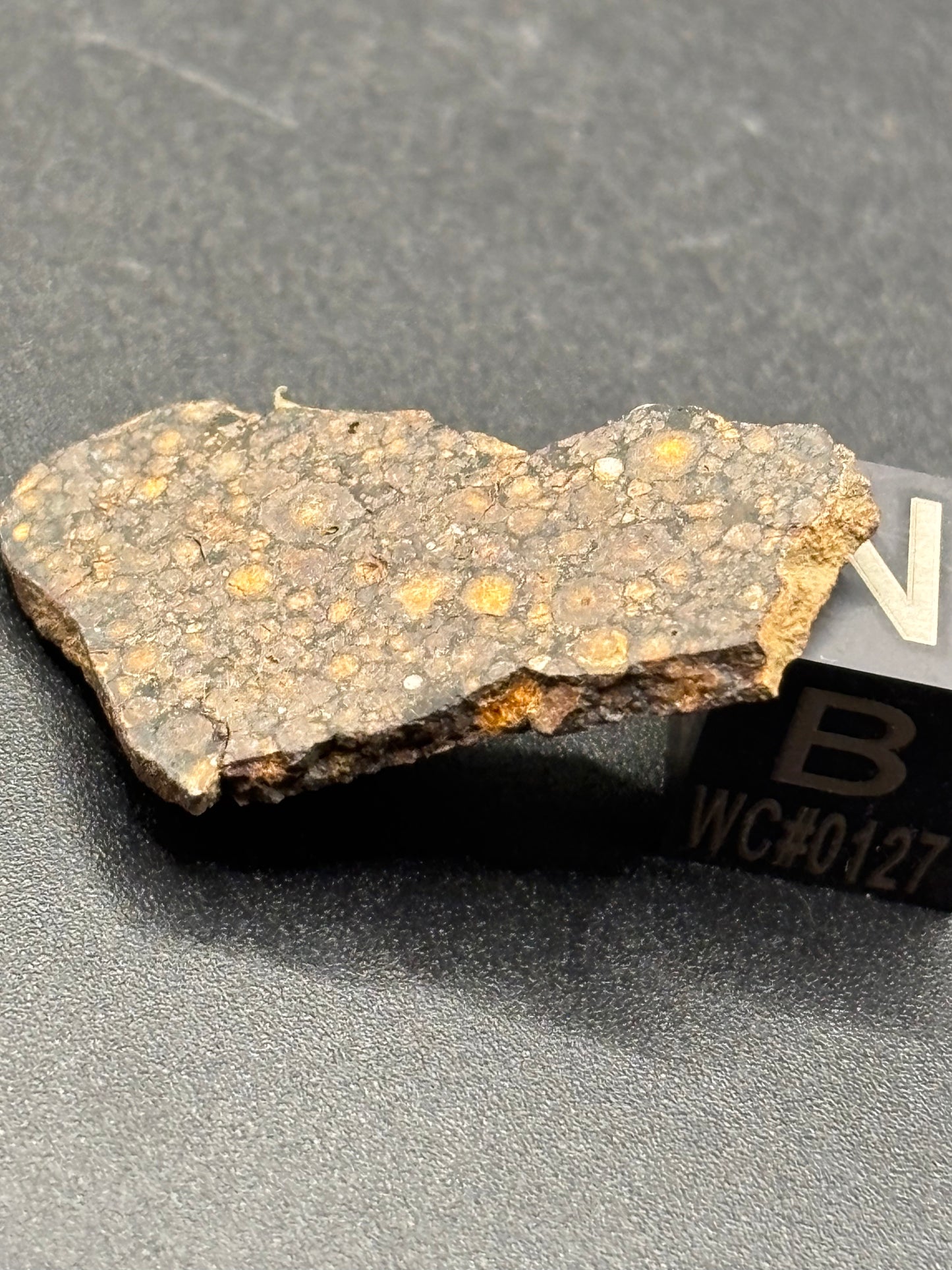 Rare Temple Bar Carbonaceous Meteorite (1.8 Grams) – Official Arizona CR Chondrite | Southwest Meteorite Laboratory Provenance