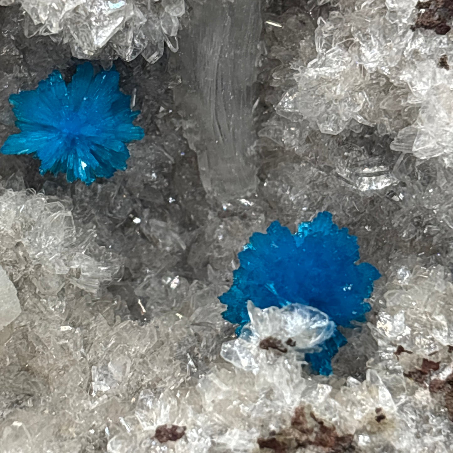 Pentagonite on Quartz Matrix – Vibrant Blue Crystal Clusters – Mineral Specimen