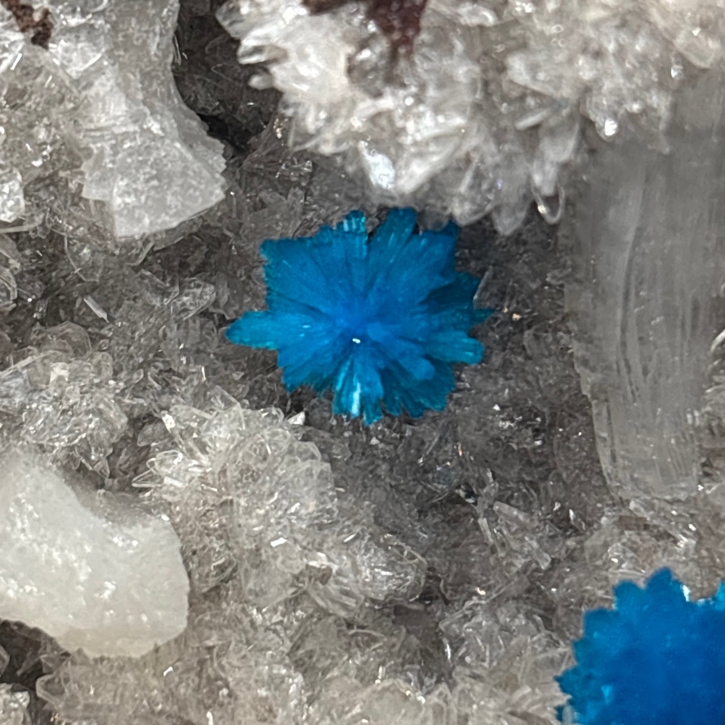 Pentagonite on Quartz Matrix – Vibrant Blue Crystal Clusters – Mineral Specimen