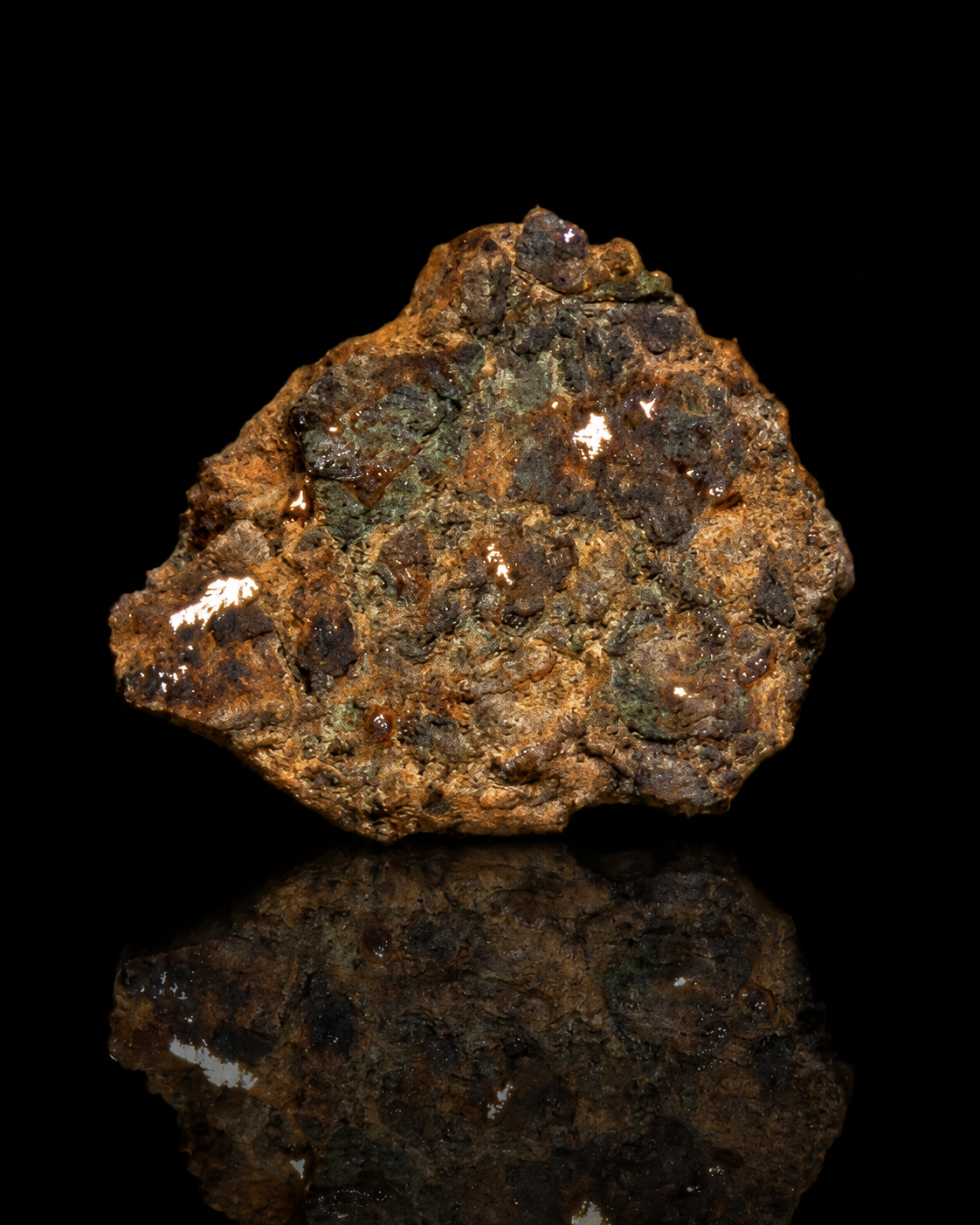 NWA 10265 Lodranite Meteorite Specimen Official Primitive Achondrite Northwest Africa