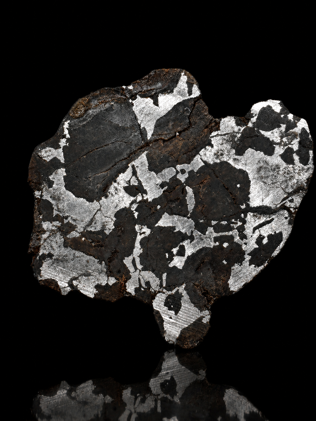 NWA 16734 Ungrouped Pallasite Meteorite Specimen Rare Olivine Iron Meteorite