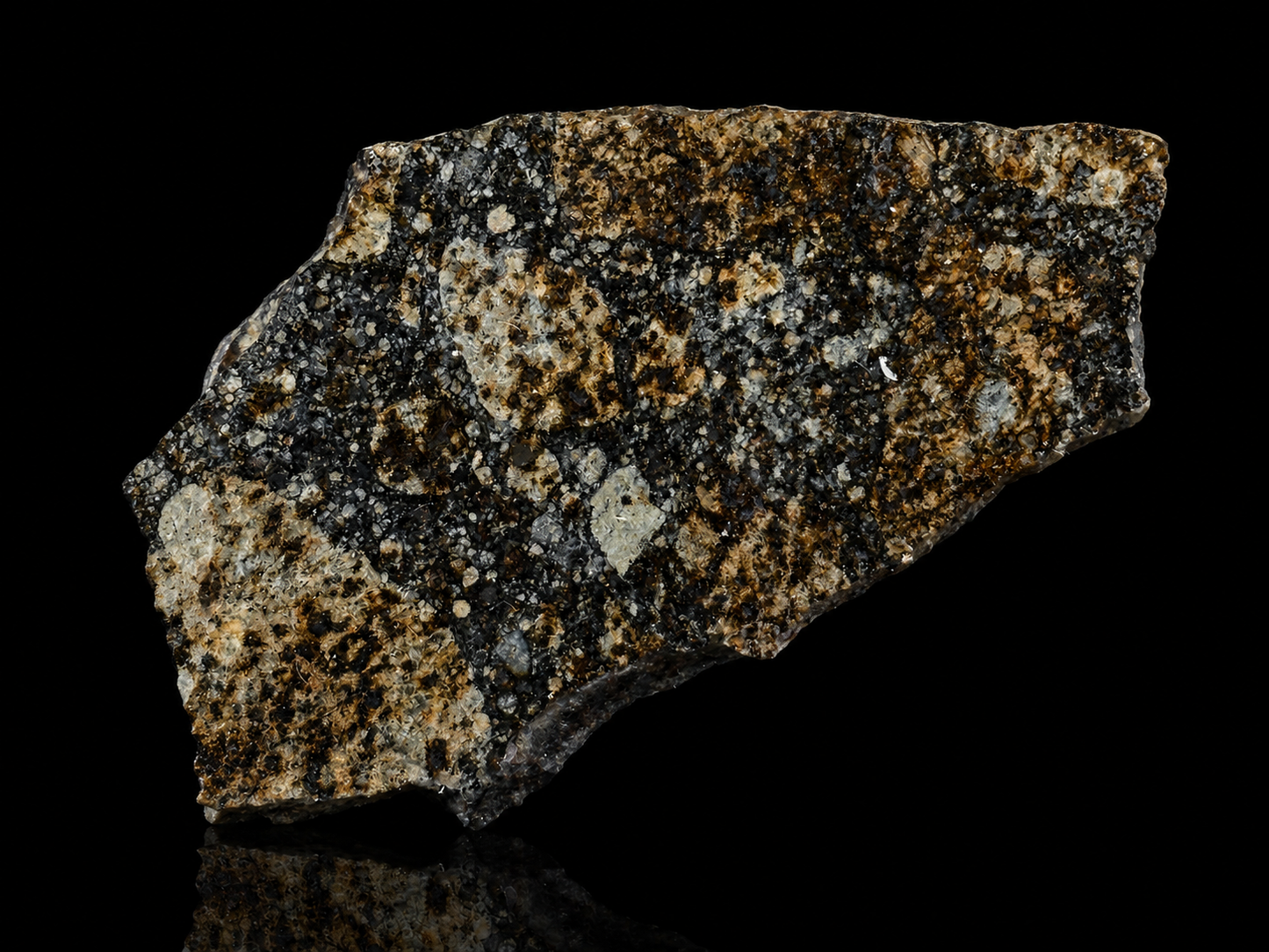 NWA 16802 Meteorite Specimen Official H5 Melt Breccia Northwest Africa Meteorite