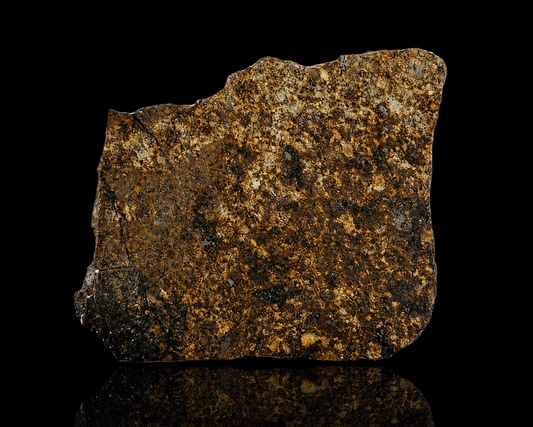 NWA 17273 Meteorite Specimen Official L5 Melt Breccia Northwest Africa Meteorite