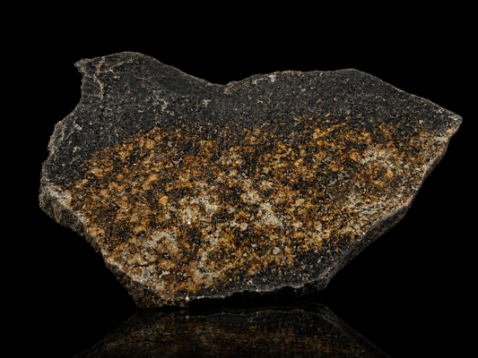 NWA 17273 Meteorite Specimen Official L5 Melt Breccia Northwest Africa Meteorite