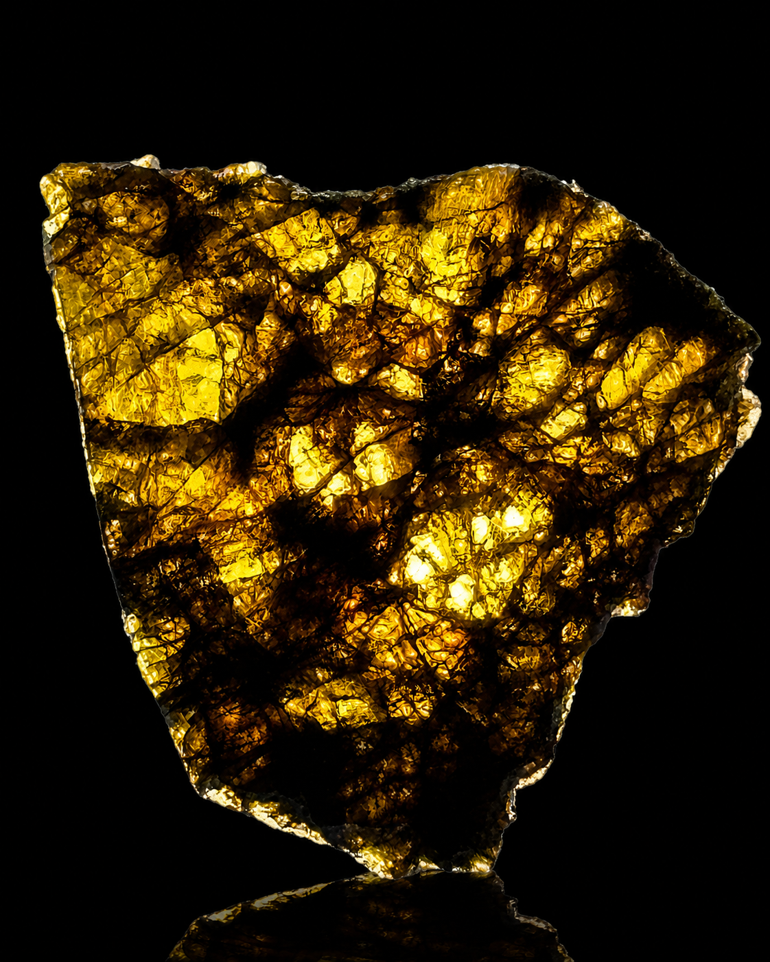 NWA 7831 Diogenite Meteorite Specimen Official HED Achondrite Northwest Africa Meteorite
