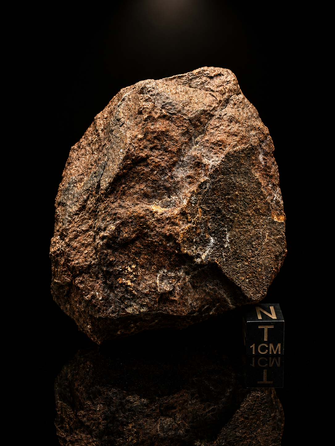 NWA XXX Meteorite Individual 254g Northwest Africa Chondrite Meteorite Specimen