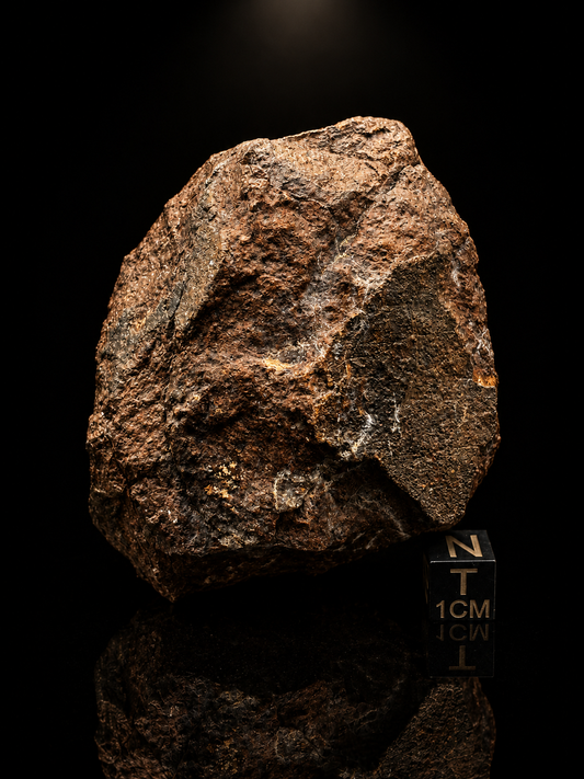 NWA XXX Meteorite Individual 254g Northwest Africa Chondrite Meteorite Specimen