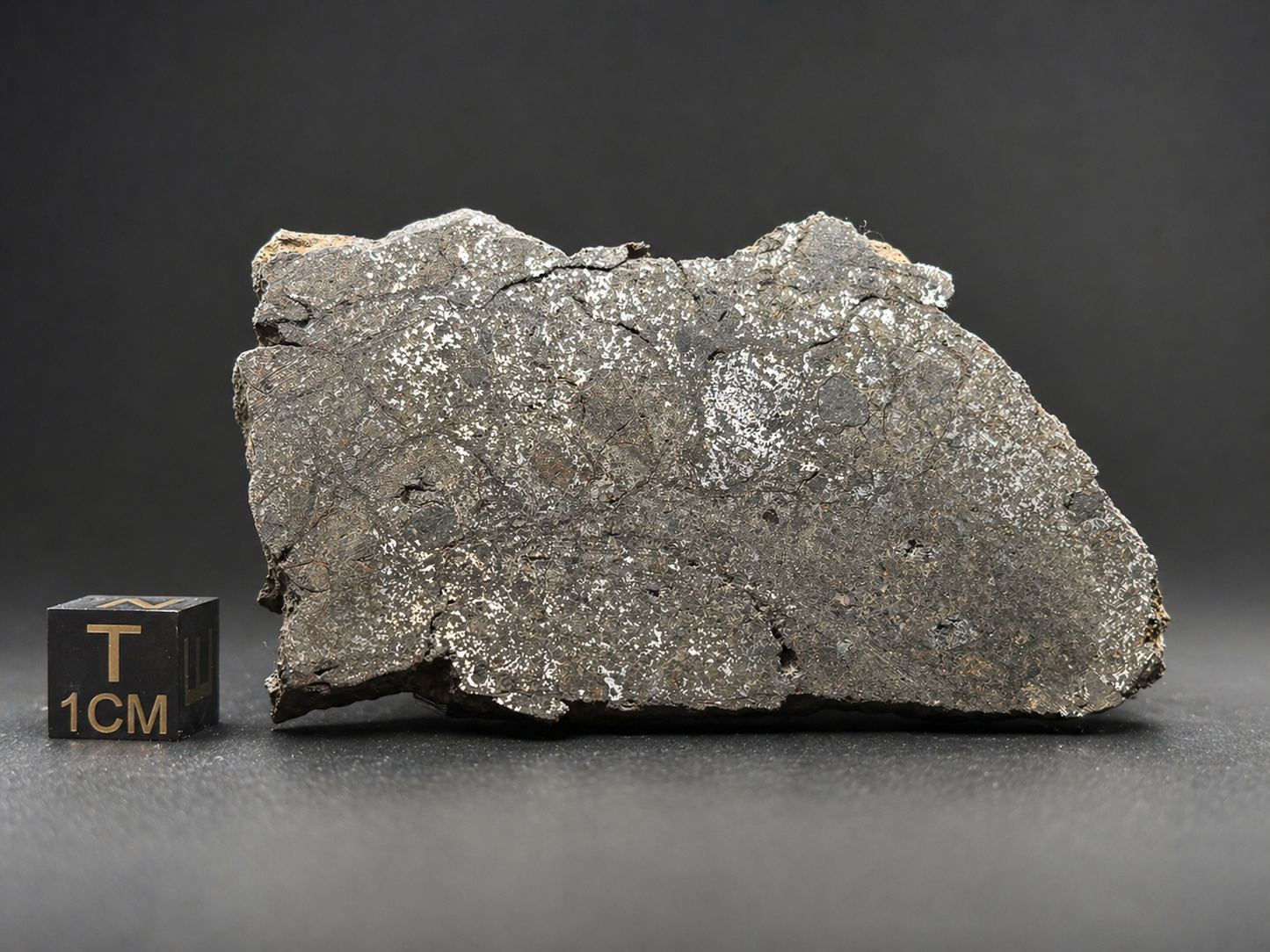 Mesosiderite Meteorite NWA 12949 – Metal-Rich Stony Iron – Authentic Space Rock