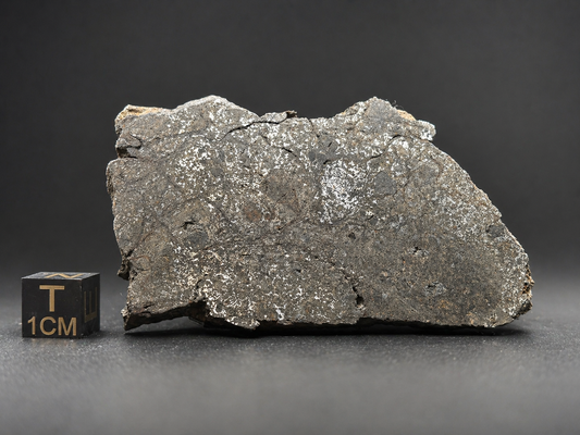 Mesosiderite Meteorite NWA 12949 – Metal-Rich Stony Iron – Authentic Space Rock