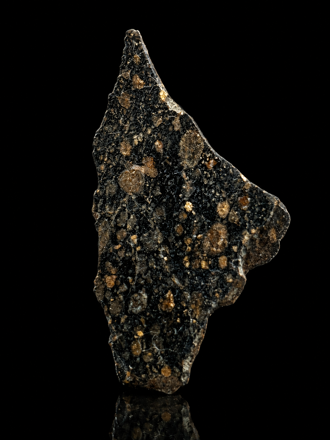 NWA 1465 Carbonaceous Chondrite Meteorite Rare CV3-an Anomalous Northwest Africa