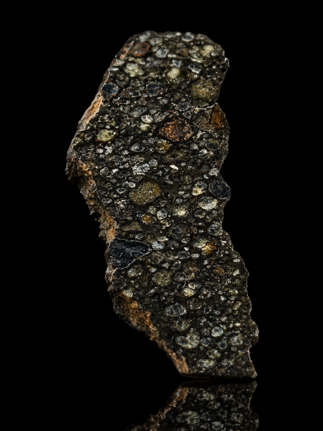 NWA 15057 Carbonaceous Chondrite Meteorite Official CVox3 Northwest Africa Meteorite