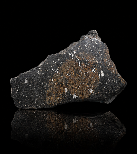 NWA 17273 Meteorite Specimen Official L5 Melt Breccia Northwest Africa Meteorite