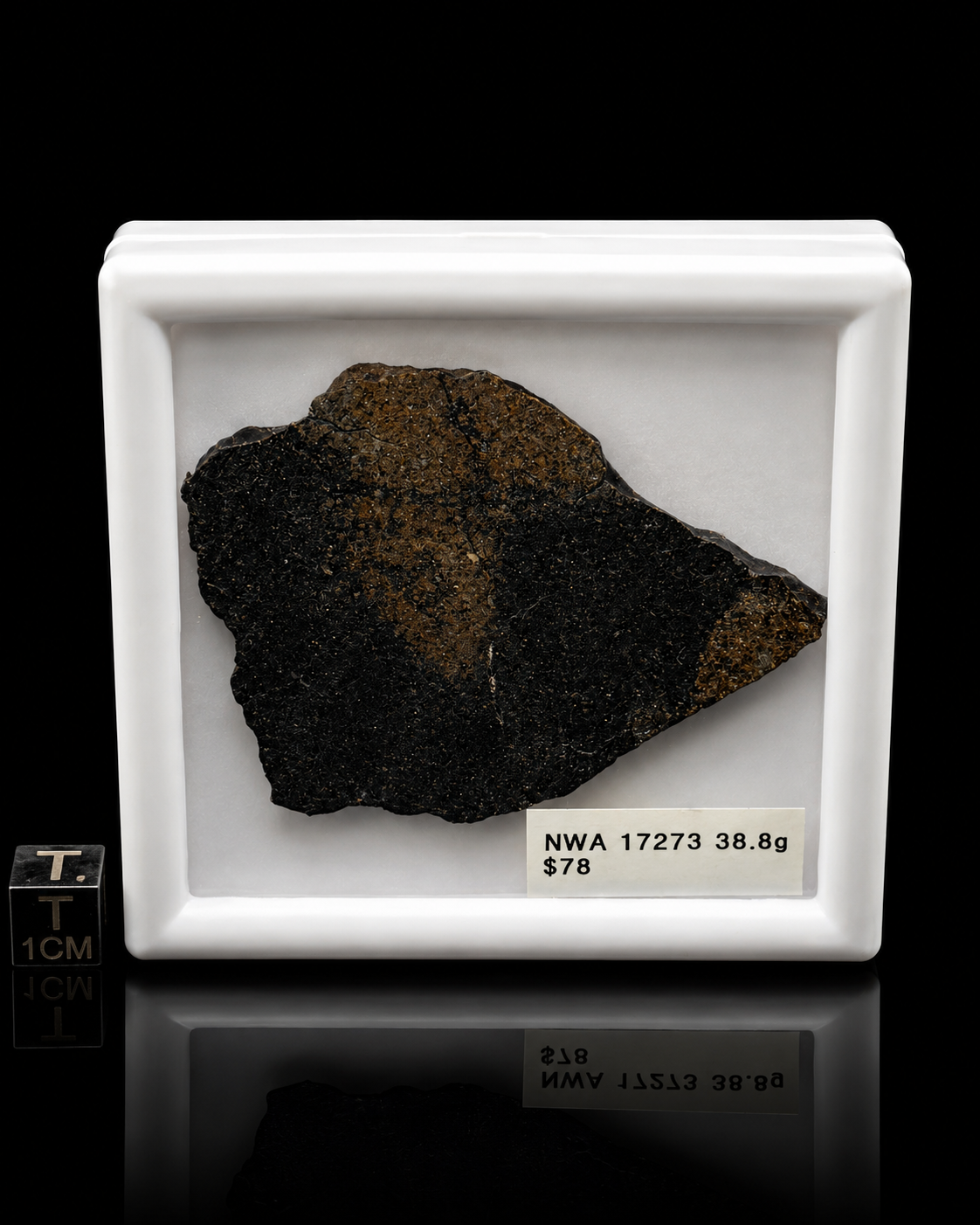NWA 17273 Meteorite Specimen Official L5 Melt Breccia Northwest Africa Meteorite