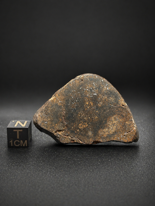 Northwest Africa Meteorite Slice – Possible L5 Chondrite – Polished – 16.4g – Algeria Find