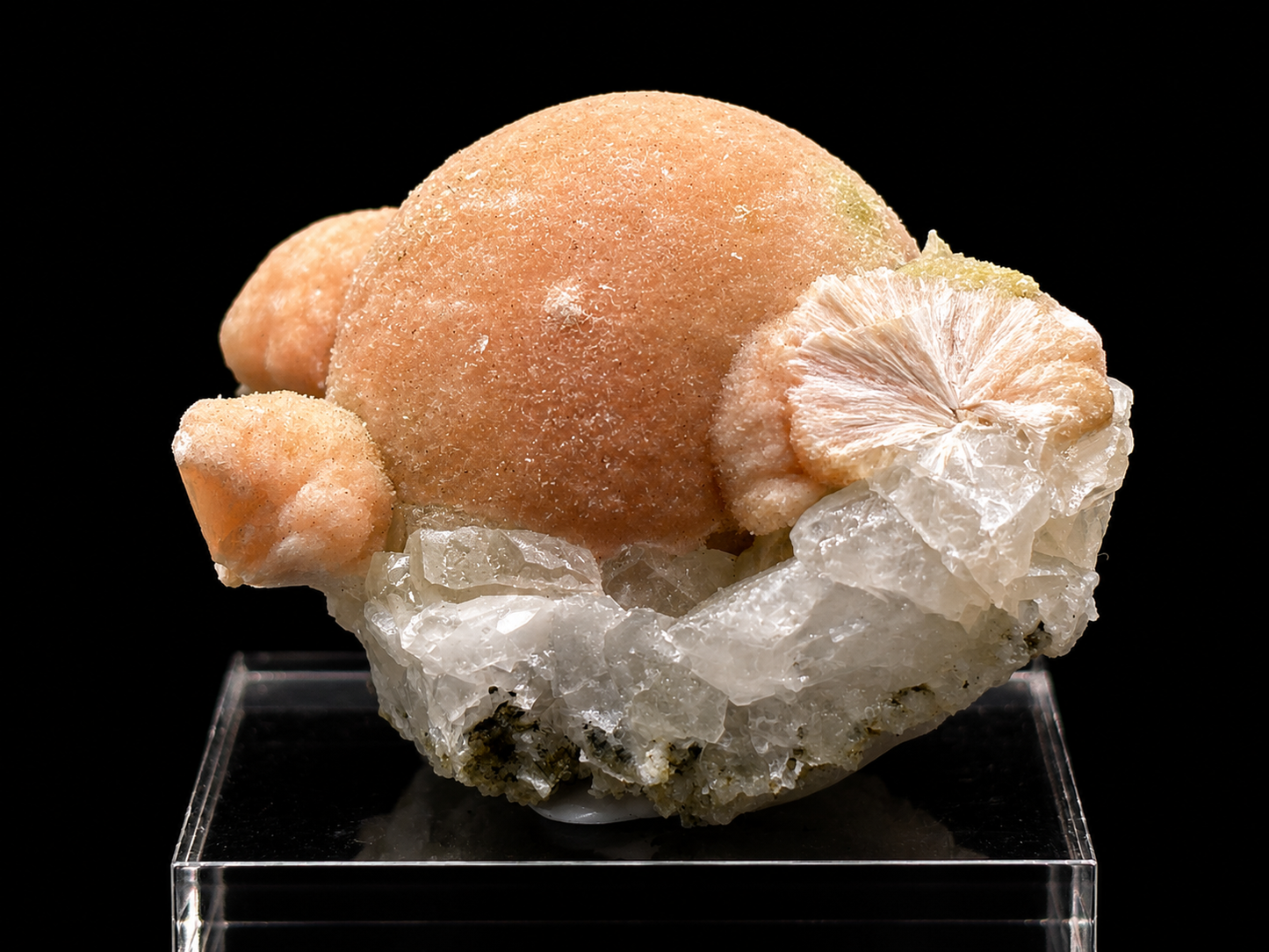 Pectolite on Datolite – Millington Quarry, Millington, Somerset County, New Jersey