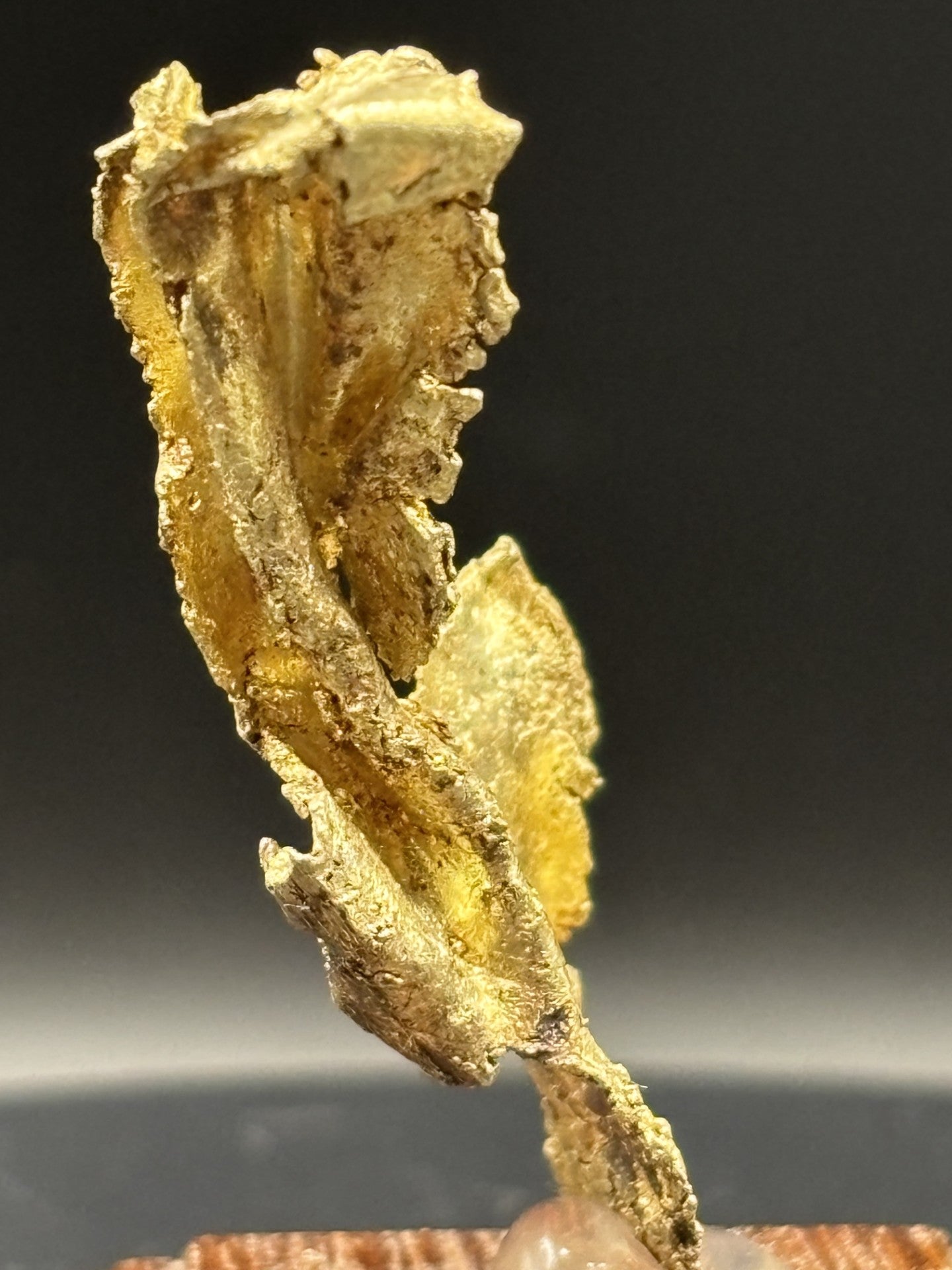 Round Mountain Gold Leaf Specimen – Nevada, USA