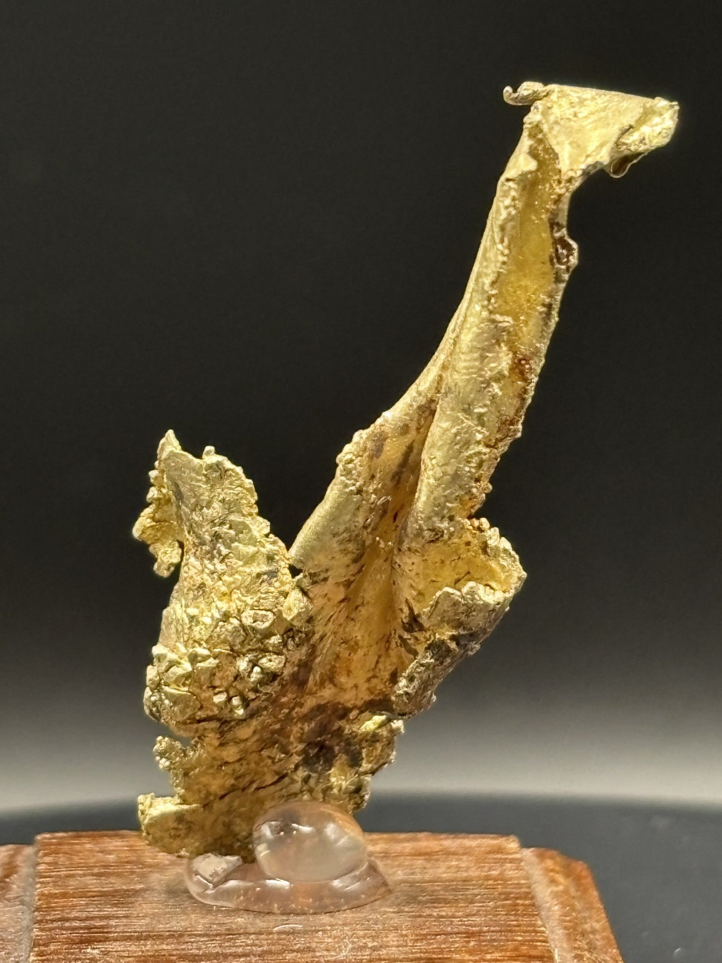 Round Mountain Gold Leaf Specimen – Nevada, USA