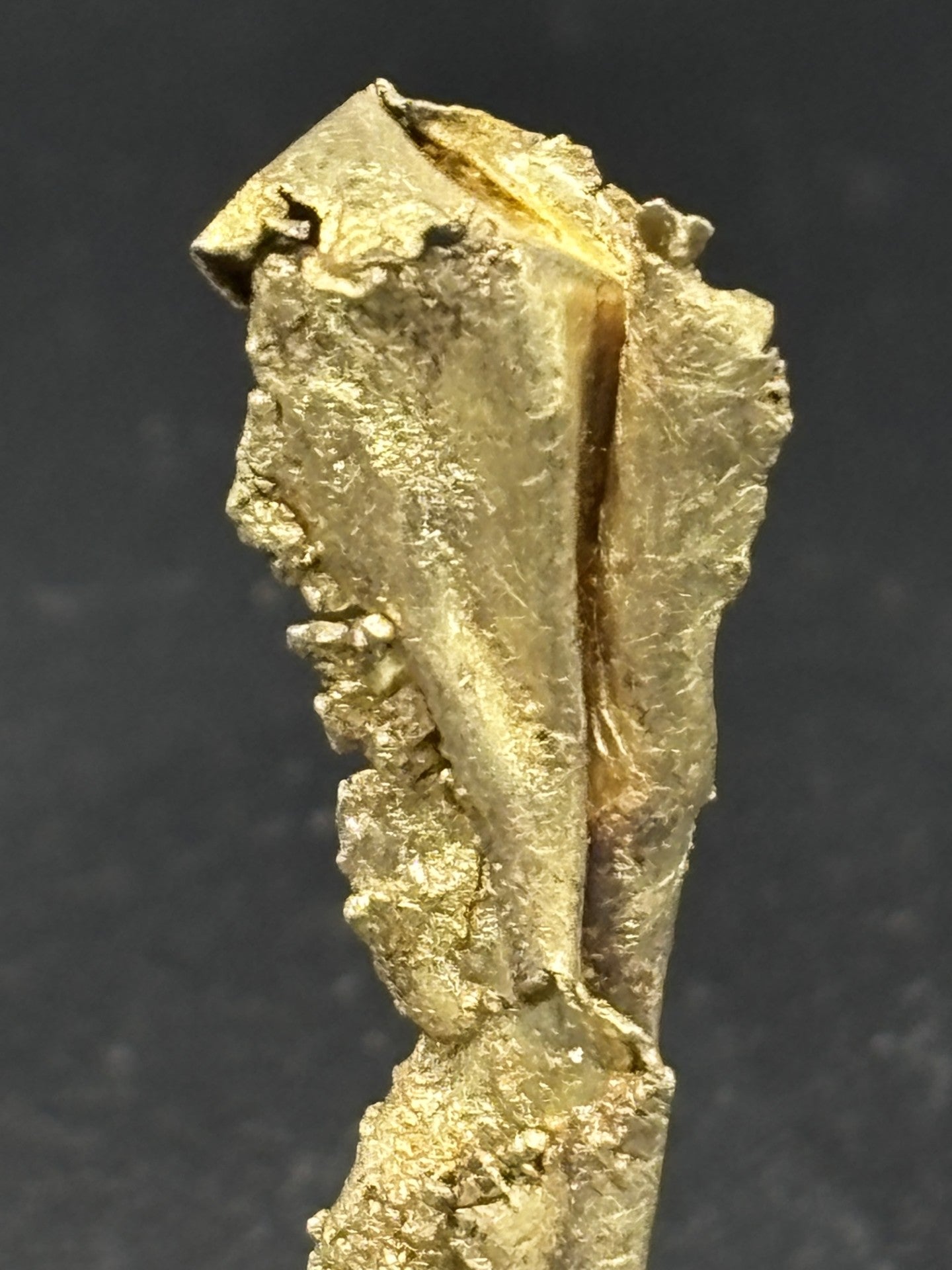 Round Mountain Gold Leaf Specimen – Nevada, USA