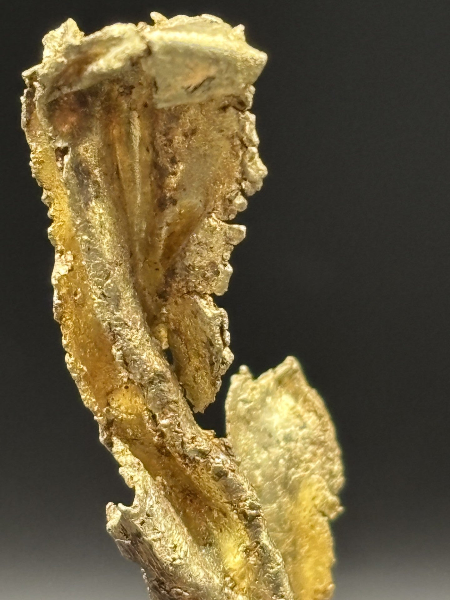 Round Mountain Gold Leaf Specimen – Nevada, USA