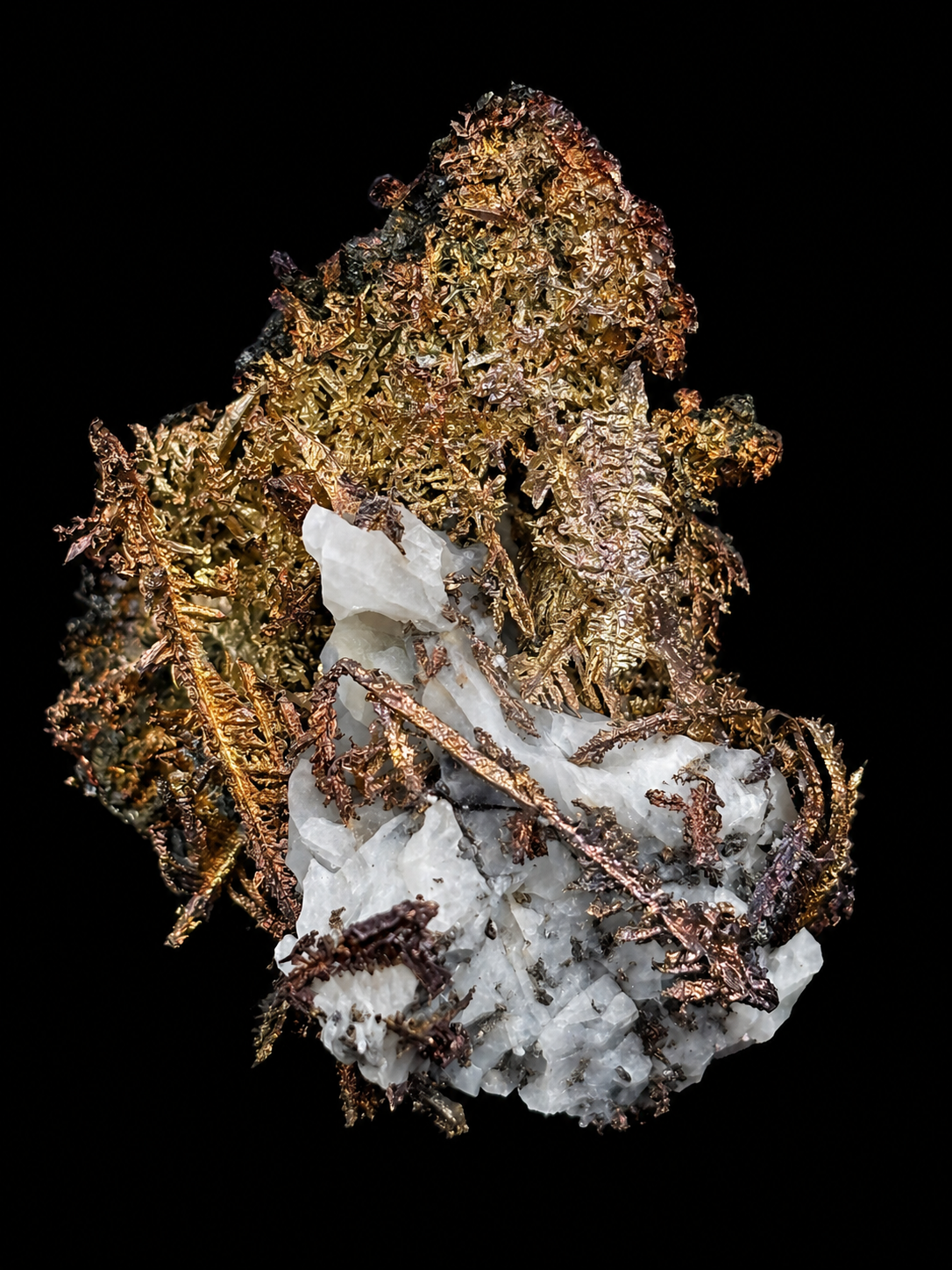Dendritic Wire Silver – Batopilas, Chihuahua, Mexico – Native Silver Specimen