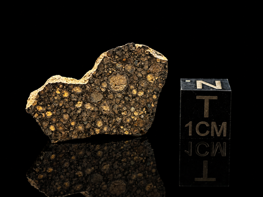 Rare Temple Bar Carbonaceous Meteorite (1.8 Grams) – Official Arizona CR Chondrite | Southwest Meteorite Laboratory Provenance