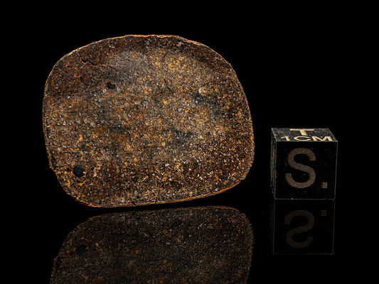 Rare Thumb Butte Meteorite (5.1 Grams) – Official Arizona H3.8 Chondrite | Todd Parker Provenance
