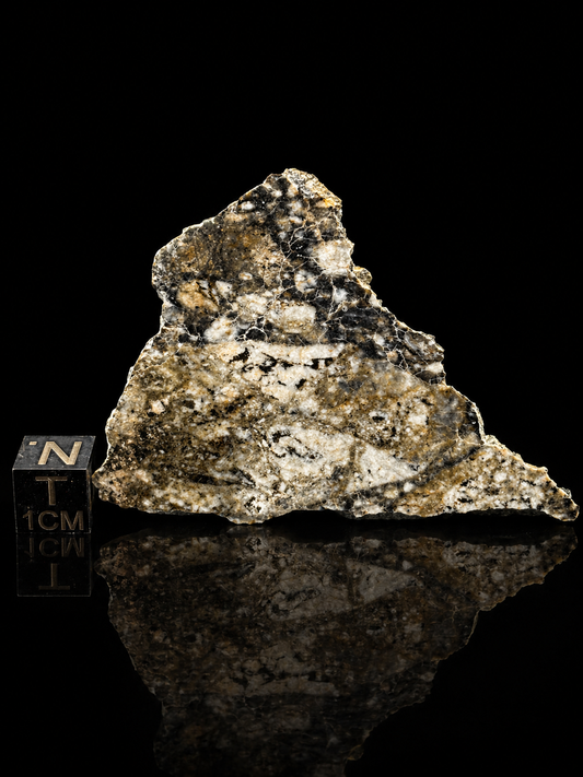 Touat 005 Lunar Feldspathic Breccia — Slice (8.25g)