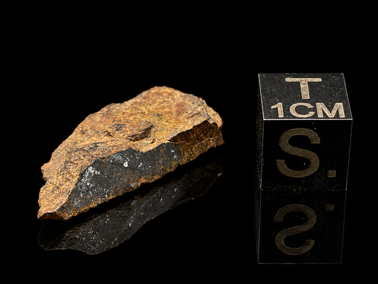 Trilby Wash Meteorite (2.8 Grams) – Official Arizona L4 Chondrite Partial Polished Fragment | Southern–Sloan Provenance