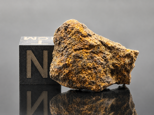 Wagon Mound Meteorite Specimen Official L6 Chondrite New Mexico Meteorite Found 1932