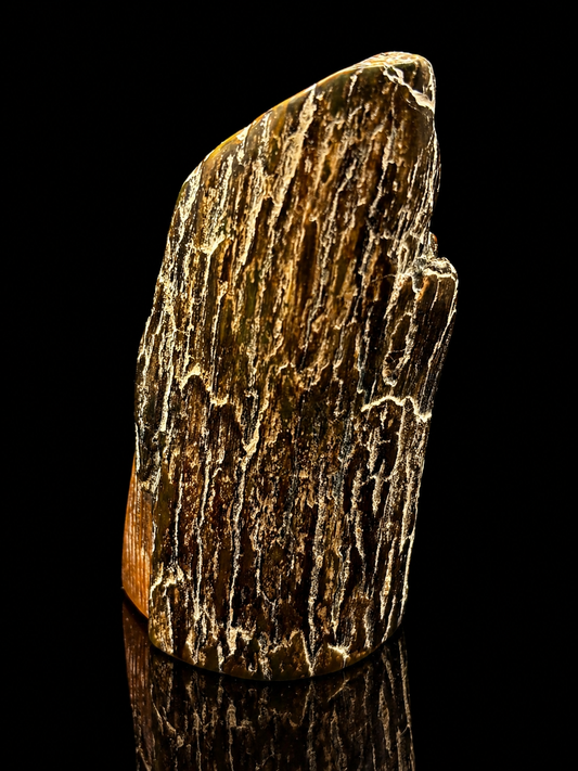 Woolly Mammoth Ivory Tusk Section 3 oz – Alaska 2025 Find – Authentic Fossil Specimen