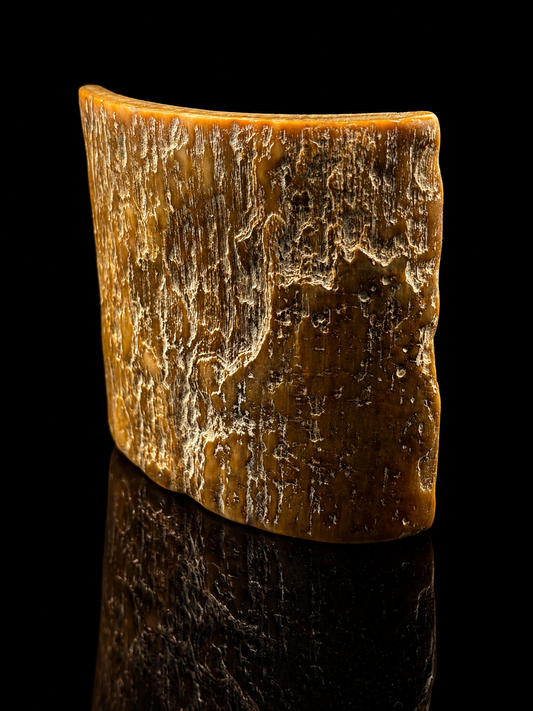 Woolly Mammoth Ivory Tusk Section 3 oz – Alaska 2025 Find – Authentic Fossil Specimen